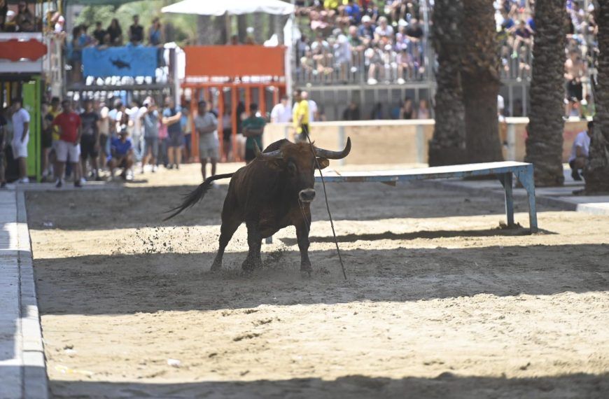 Actos taurinos de Sant Pere Grau de Castellón