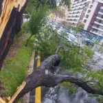 Rachas de viento de más 100 km/h en Castellón