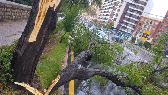 Rachas de viento de más 100 km/h en Castellón