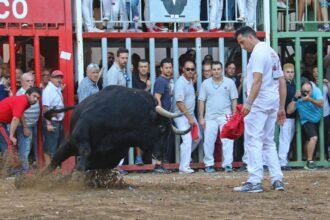 Programación y actos taurinos Almassora  
