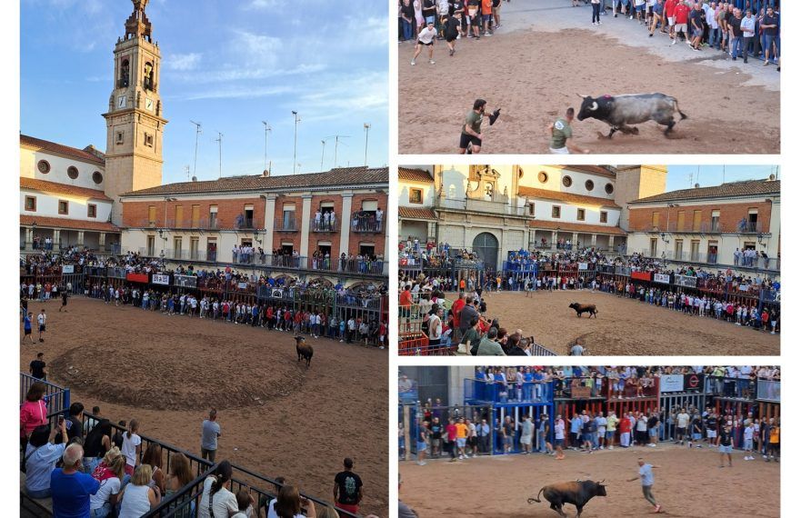 Nules tindrà al mes de novembre un cap de setmana taurí