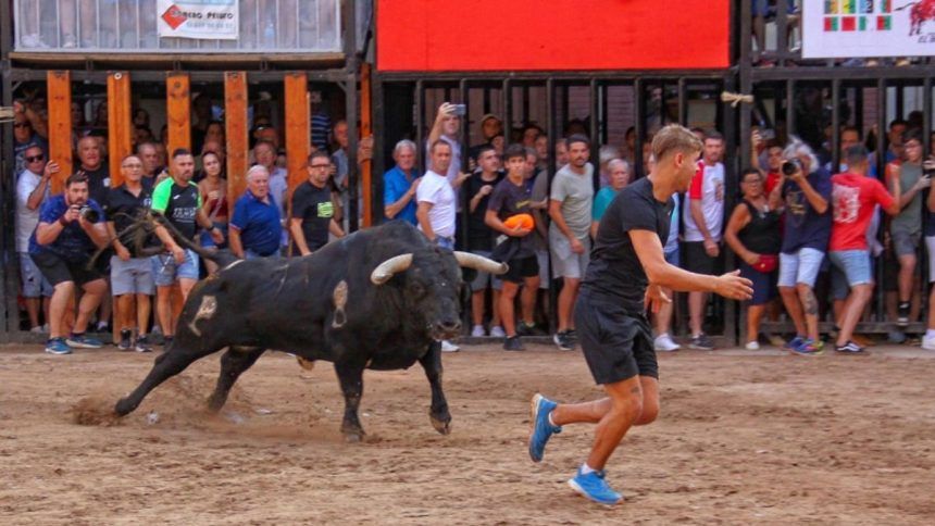 Programación toros fiestas Nules