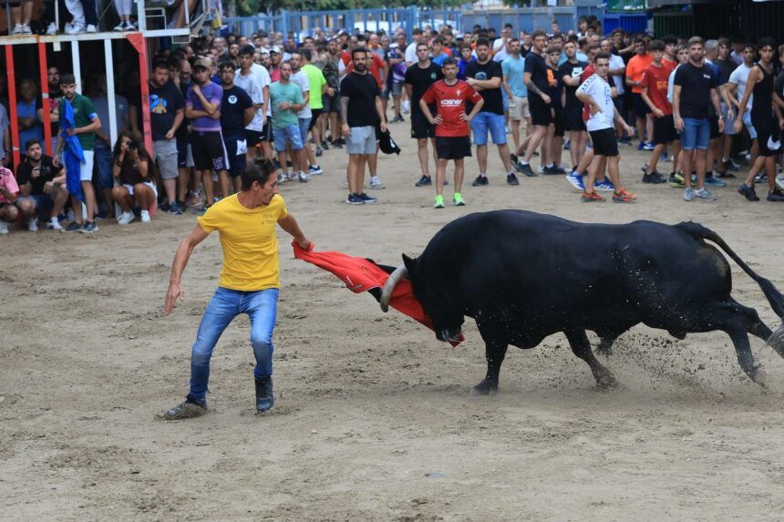 Actos taurinos fiestas de Vila-real 2026
