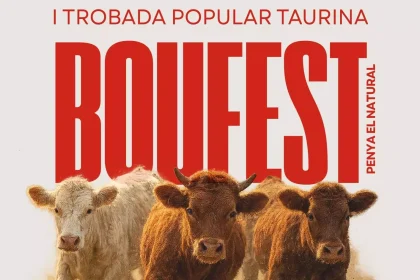 Boufest Vall d'Uixó