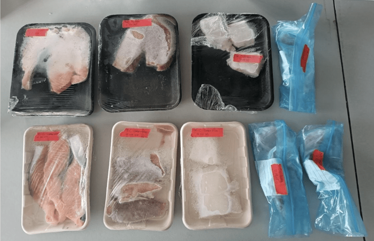 Filetes de pescado en diferentes envases plásticos