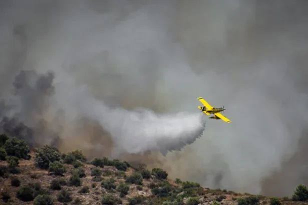 Incendio Vall d'Uixó// Foto de Pau Valls