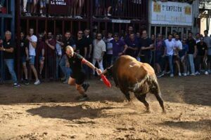 Actos taurinos fiestas Virgen del Rosario Almassora