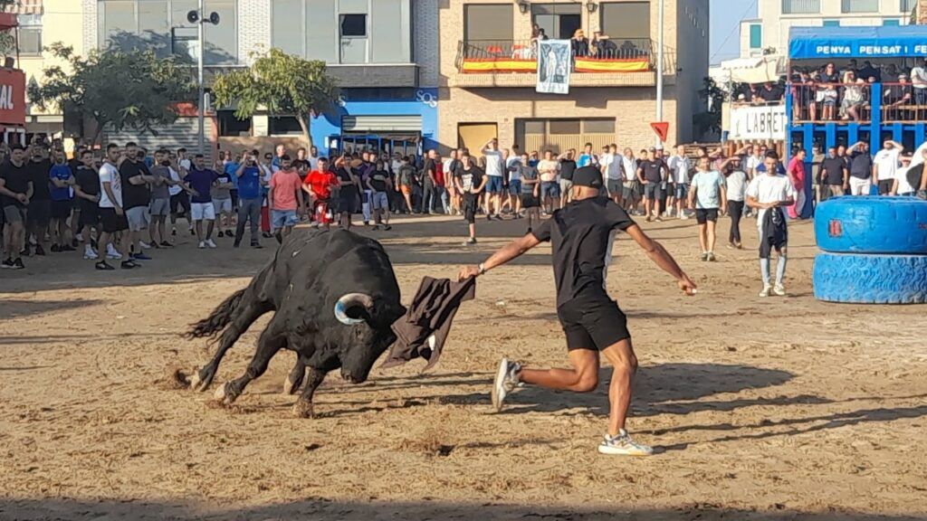 Toros Alquerías/ Actos taurinos Les Alqueries