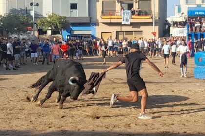 Toros Alquerías/ Actos taurinos Les Alqueries