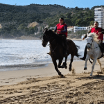 Sant Antoni Oropesa del Mar